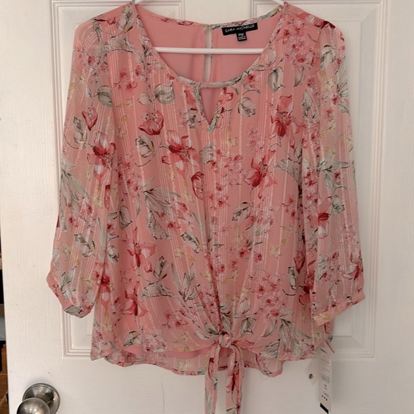 New Petite medium Sheer sleeves, bodice lined, tied front, - Picture 1 of 5